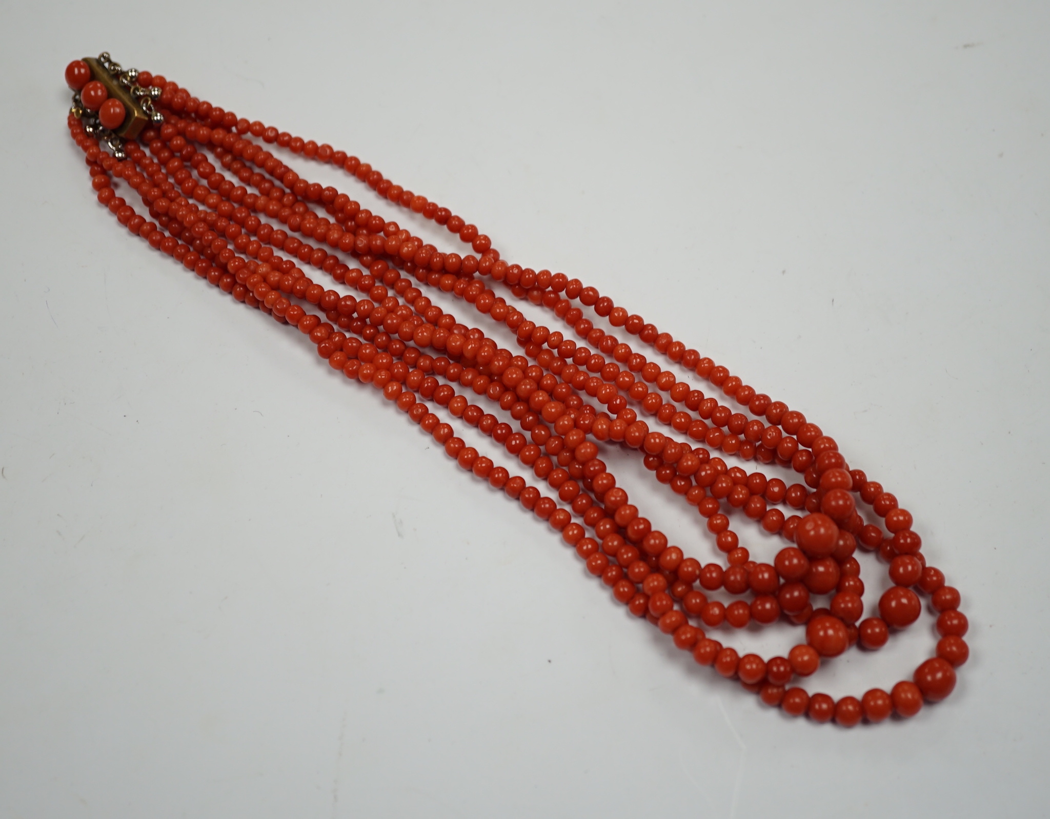 A five strand coral bead choker necklace, with coral set yellow metal clasp, approx. 44cm.